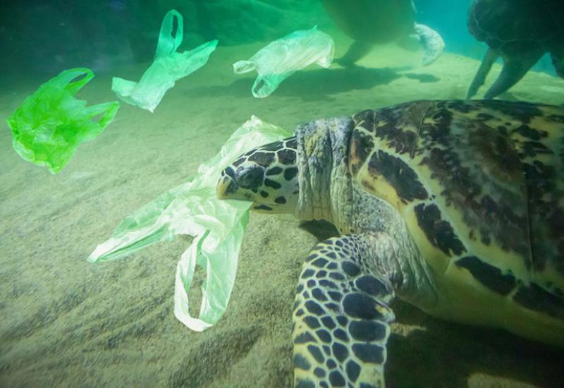 Četrnaest milijuna tona mikroplastike na morskom dnu
